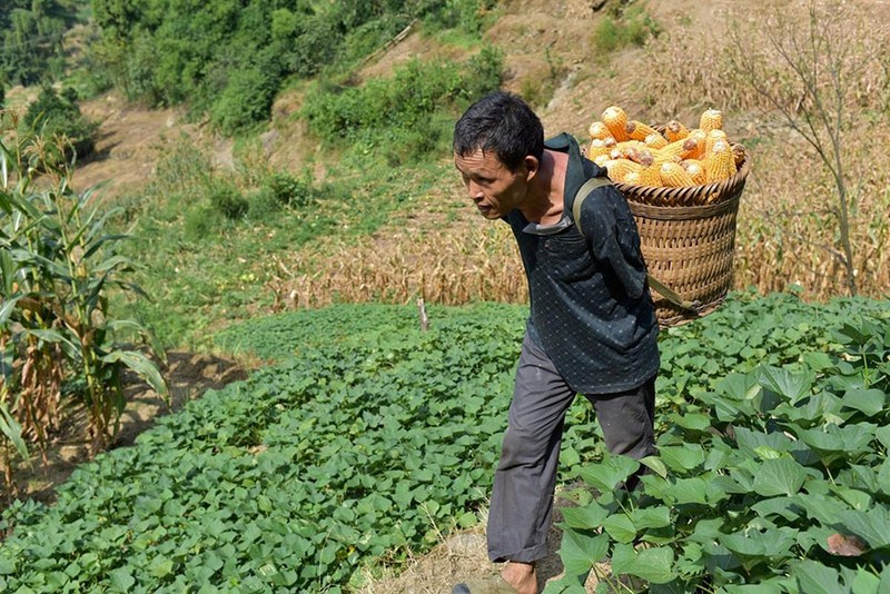 Anh dep mùa Vu Lan: Con cụt tay dung mieng xuc com cho me-Hinh-9